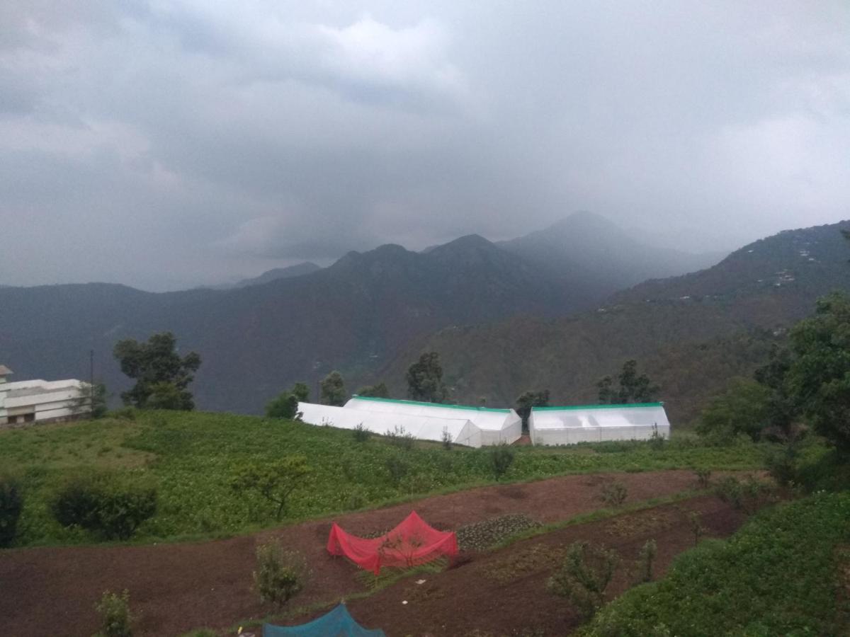 Green View Resort New Tehri Eksteriør bilde