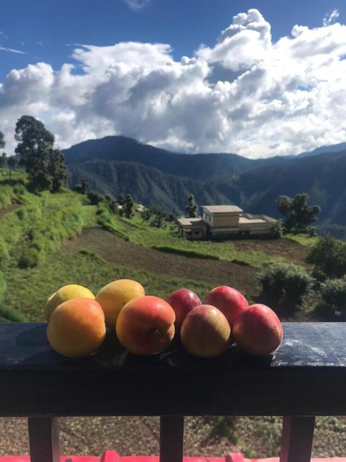 Green View Resort New Tehri Eksteriør bilde